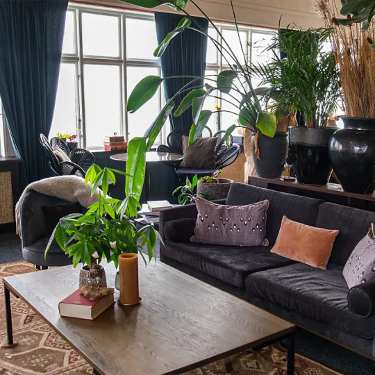 Lounge med bløde møbler og grønne planter på The Falcon Hotel