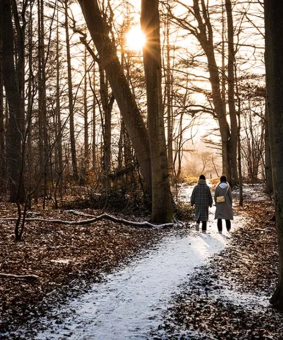 To personer går tur i snedækket skov