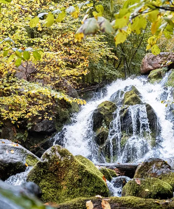 Besøg Døndalen i efteråret og oplev det smukke vandfald