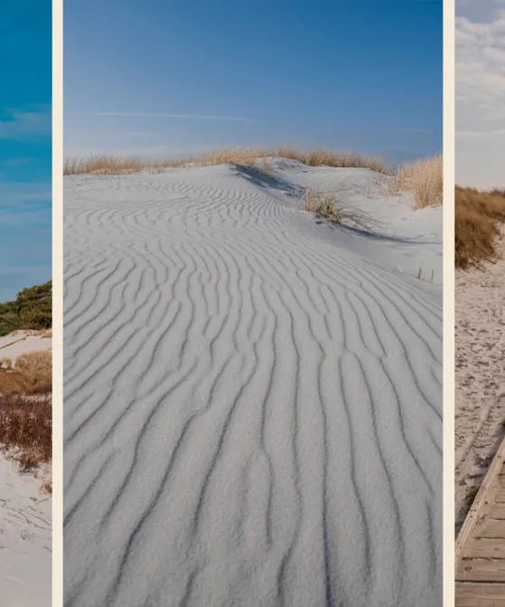 Tre billeder fra Dueodde Strand med fyrtårn og hvidt sand