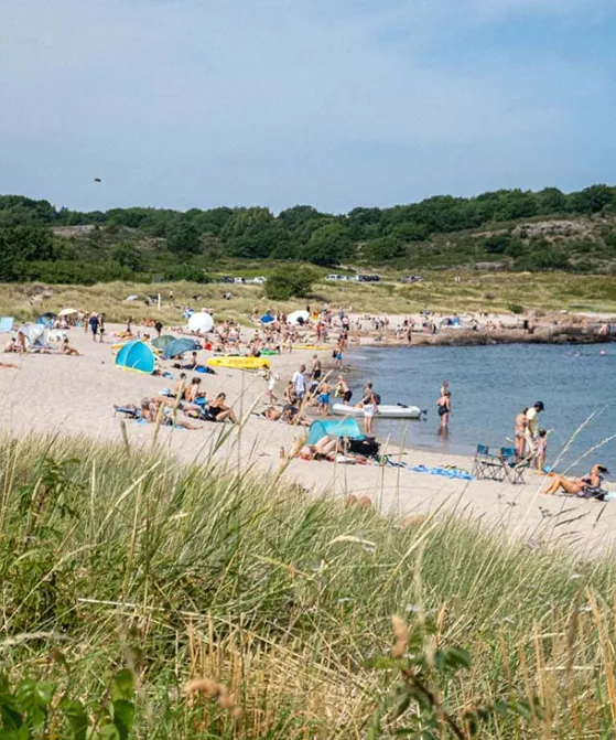 Sommerdag på Sandvig Strand