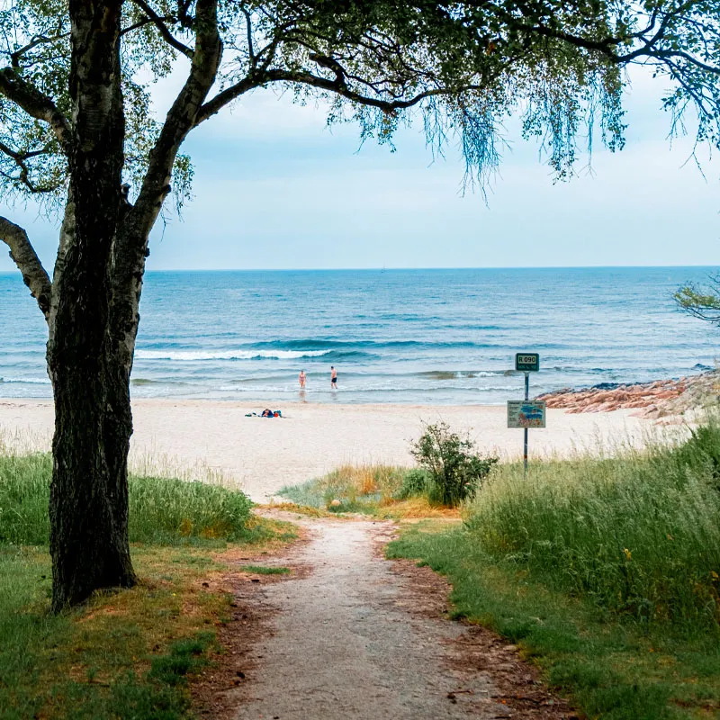Sandkås strand ligger i et dejligt grønt område med parkering, offentlige toiletter og en strandbar, der har åbent i sommerperioden