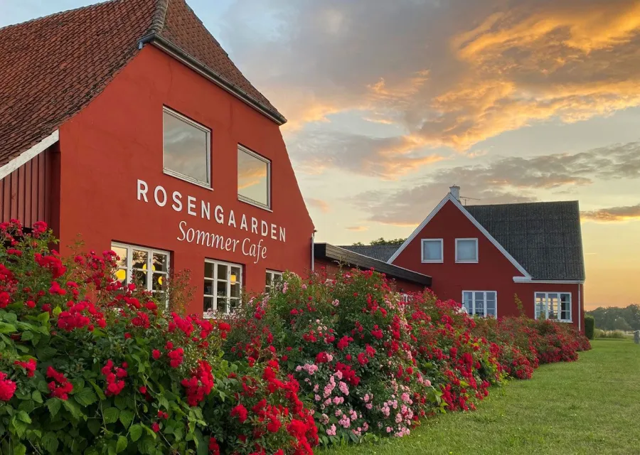 Rosengaarden Hostel