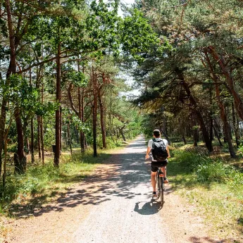 En cykelferie på Bornholm tager dig igennem smukke skove og langs den varierede kyststrækning