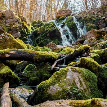 Døndalen er det mest kendte og mest besøgte vandfald på Bornholm