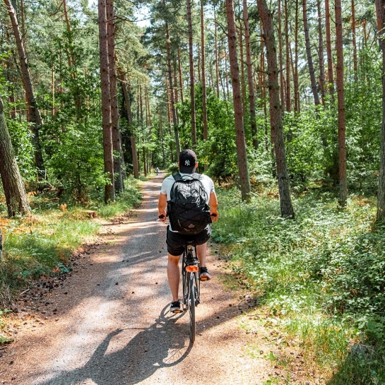 Med en cykelferie på Bornholm cykler du på anlagte cykelstier i skov og langs kysten