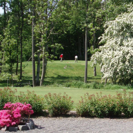 To personer står på en golfbane med grønne og lyserøde planter i forgrunden