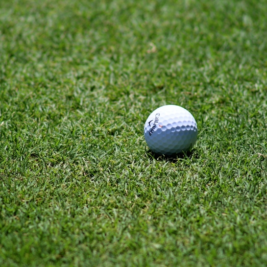 Golfbold på græs