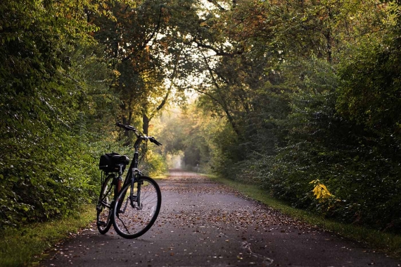 Cykel på cykelski i skov