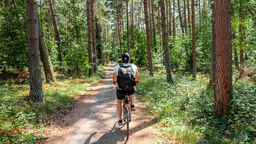 Med en cykelferie på Bornholm cykler du på anlagte cykelstier i skov og langs kysten