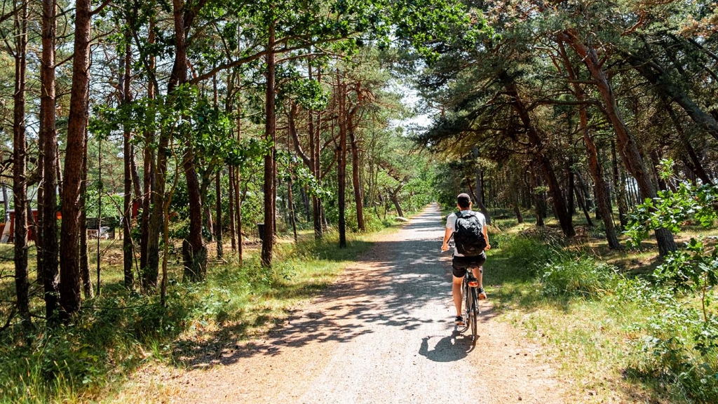 En cykelferie på Bornholm tager dig igennem smukke skove og langs den varierede kyststrækning