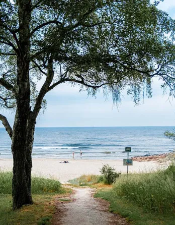 Sandkås strand ligger i et dejligt grønt område med parkering, offentlige toiletter og en strandbar, der har åbent i sommerperioden