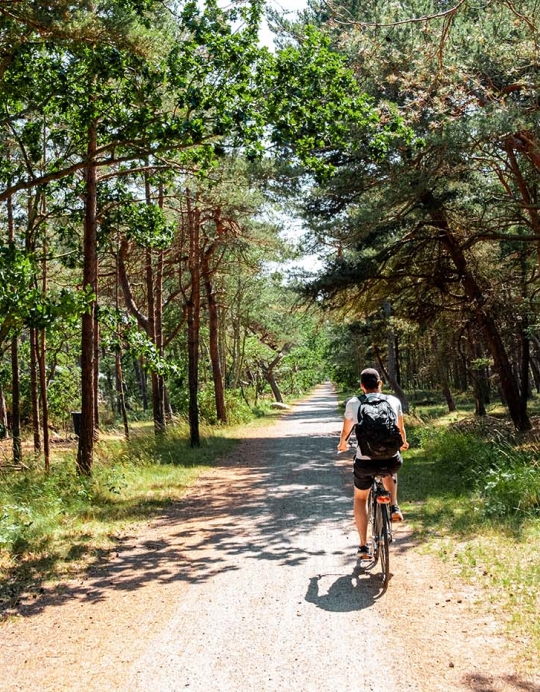 En cykelferie på Bornholm tager dig igennem smukke skove og langs den varierede kyststrækning